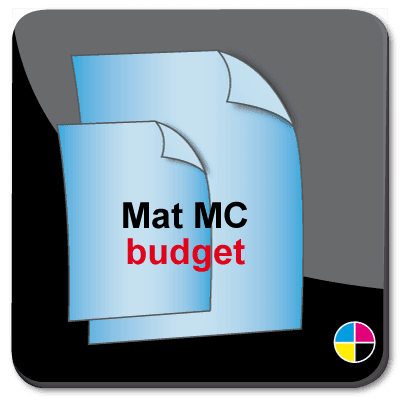 http://www.drukkerijdomburg.nl/do/Content/images/article/flyers-ongevouwen_mat budget.png